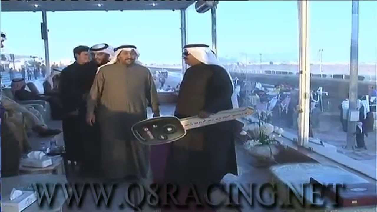 الجواد وجه العز : لاسطبل السهو