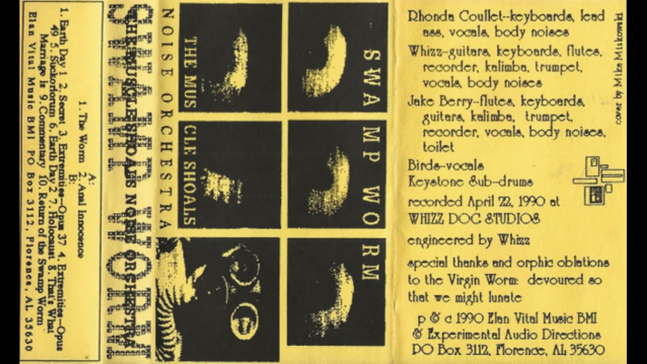 The Muscle Shoals Noise Orchestra - Swamp Worm (Elan Vital, 1990)
