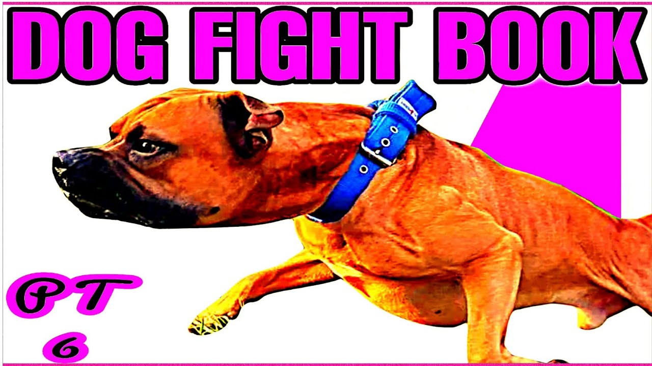 Pitbull The Dog Fight - audiobook - The Competition Dog - part 6 #pitbull #dogfighting #apbt