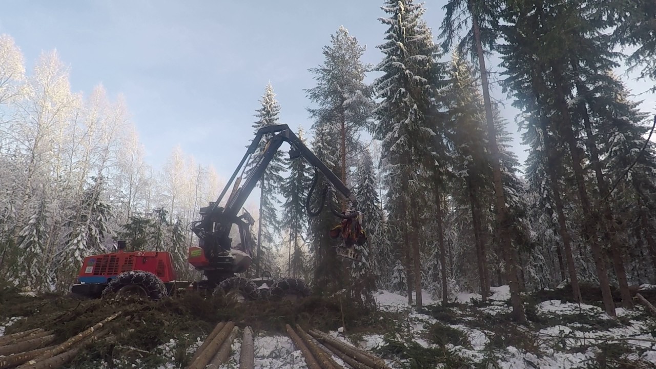 Komatsu 911.1 340. Clear felling  winter 2017