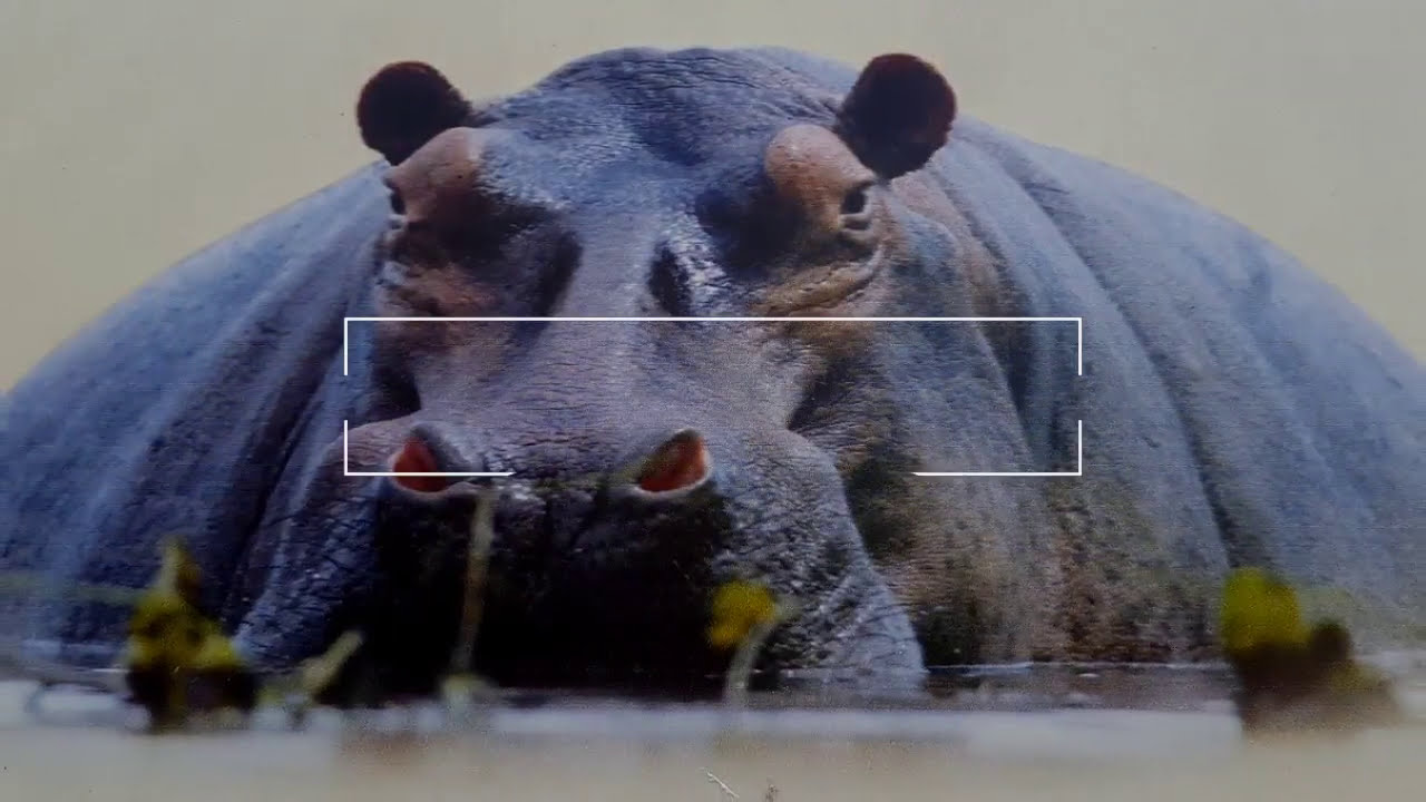 Orango NP, Guinee Bissau | 