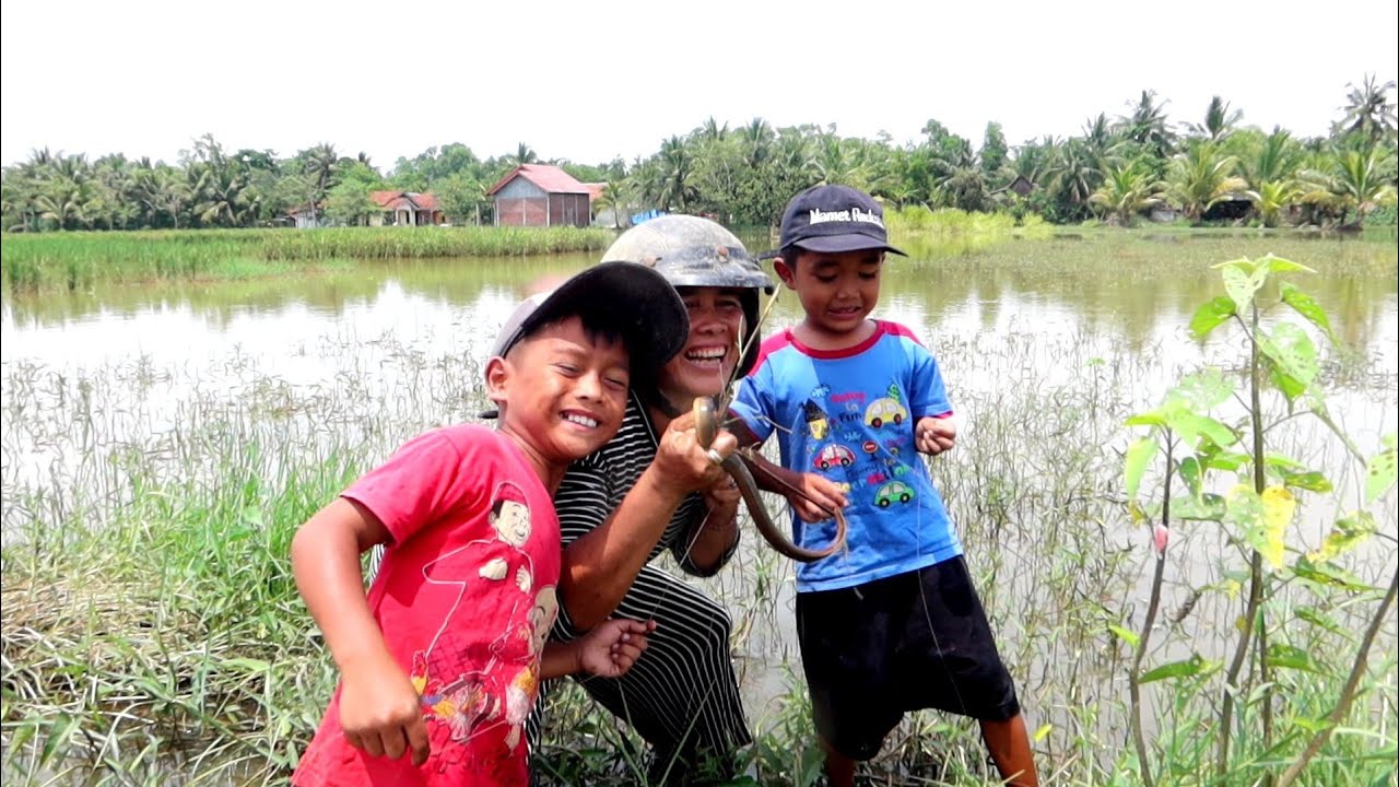 Pesta SETRIKE Mbahnya Belut Monster || Adit Mamet bingung kalang kabut Takut gak Kena