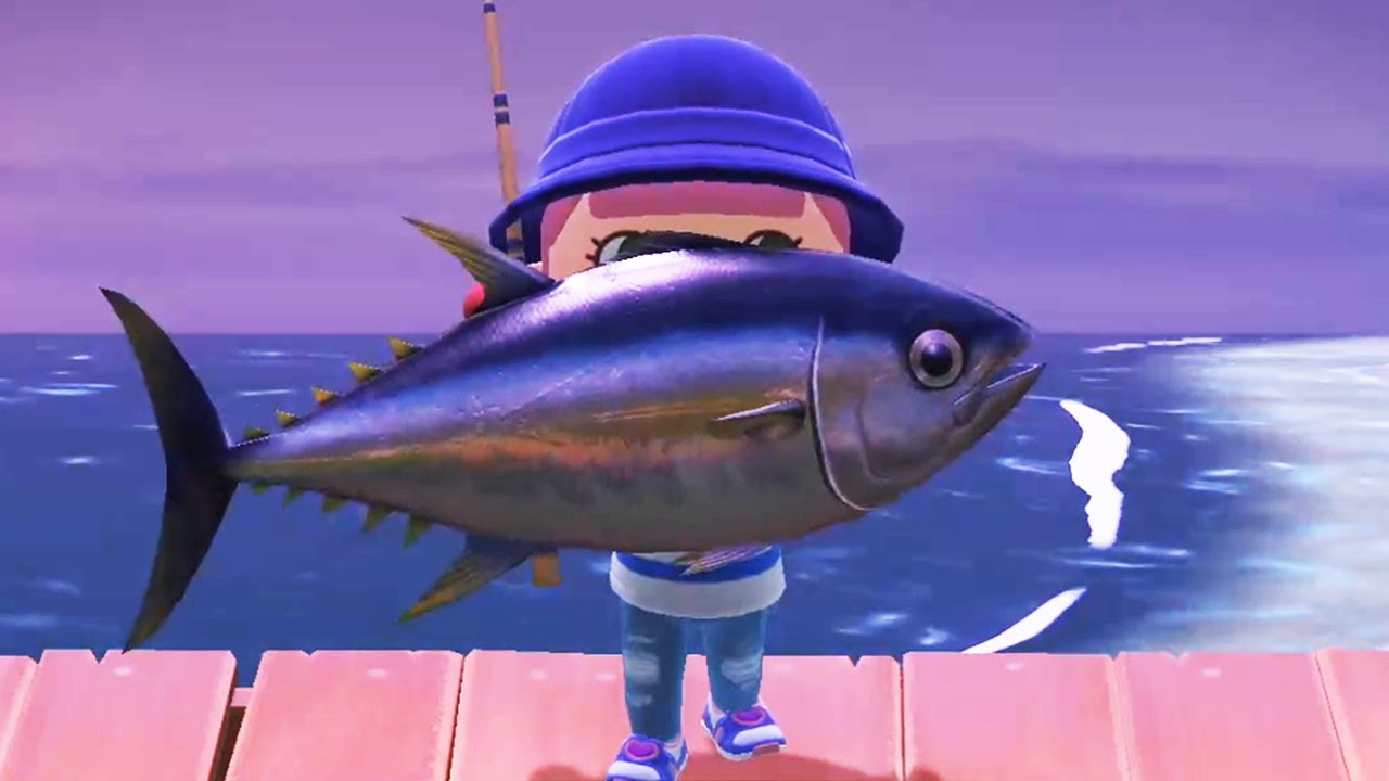 En busca del Atún!🐟🌴 Animal Crossing New Horizons (Emitido 10/4/2020)