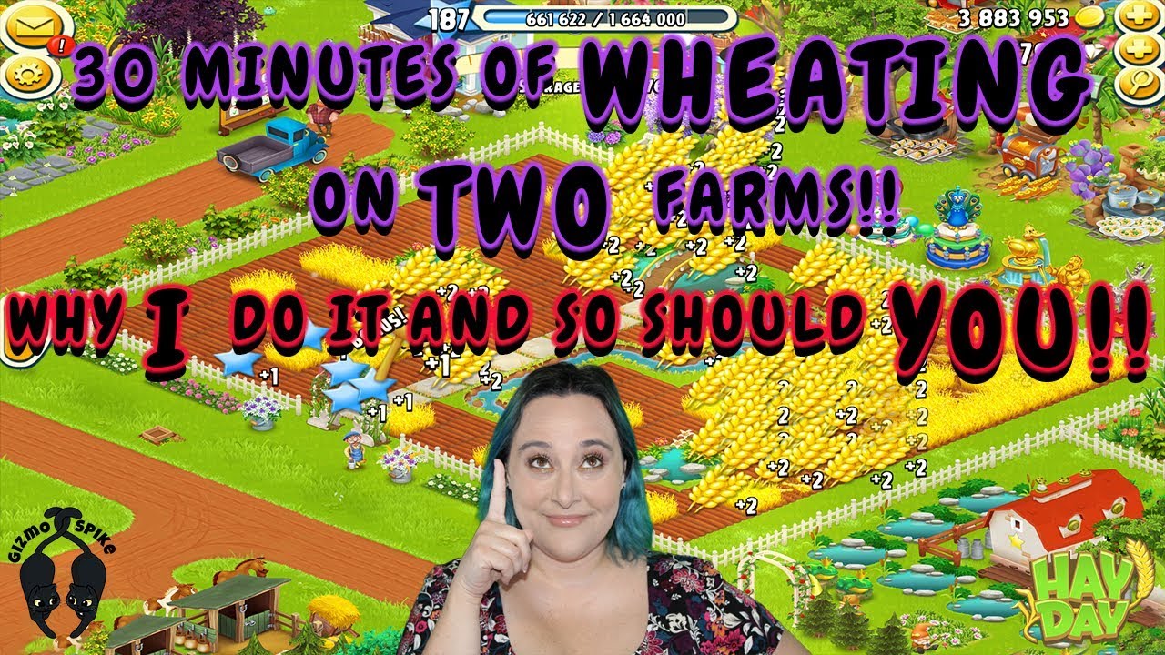 Hay Day-30 minutes of WHEATING! Harvest Wheat for Free Items to Upgrade Barn & Silo!!