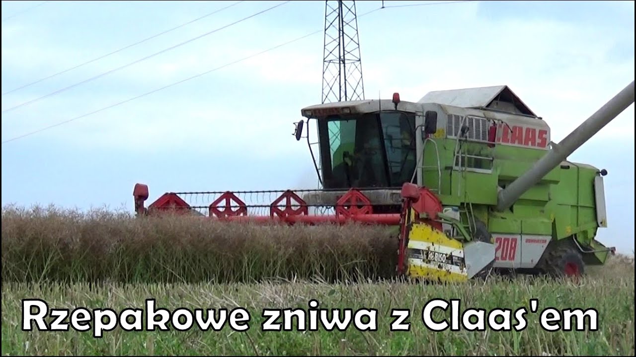 Rzepakowe żniwa 2016 z Claas'em mega 208 & Deutz-Fahr M640,2x Wielton,Zasław//
