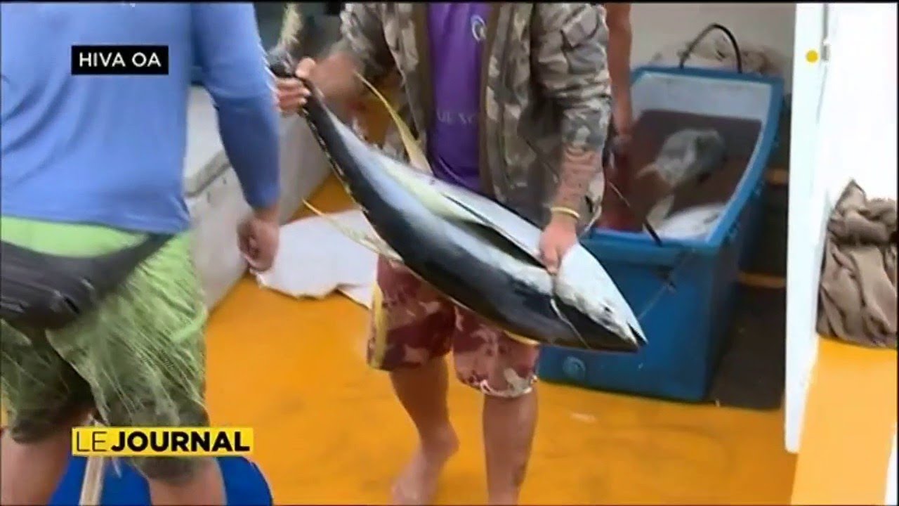 Hiva Oa :  la pêche sur un bonitier