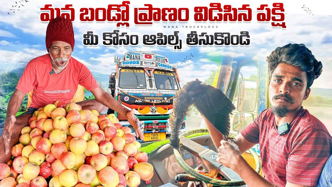 మీ కోసం ఆపిల్స్ తీసుకొండి 🍎 మన బండ్లో ప్రాణం విడిసిన పక్షి 😔
