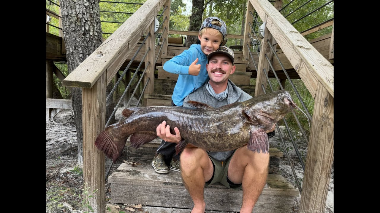Limb Lining for Monster Catfish on the Satilla River.