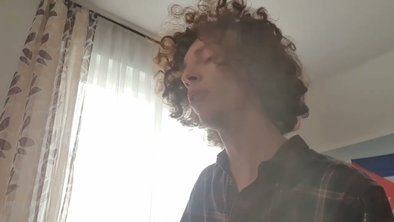 Alexander Sch&auml;fer - Vienna (Billy Joel Cover)