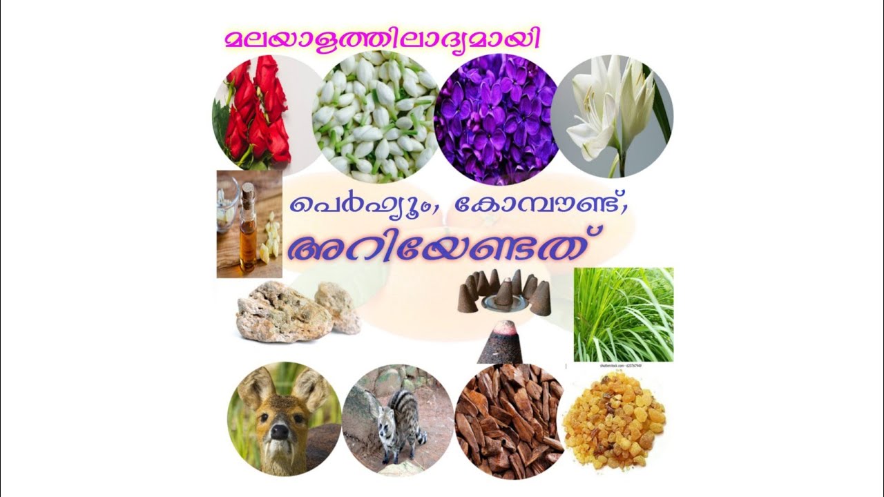 How To MAke Perfume - Compound?പെർഫ്യൂം നിർമ്മാണം മലയാളം|Perfume making Malayalam|three square