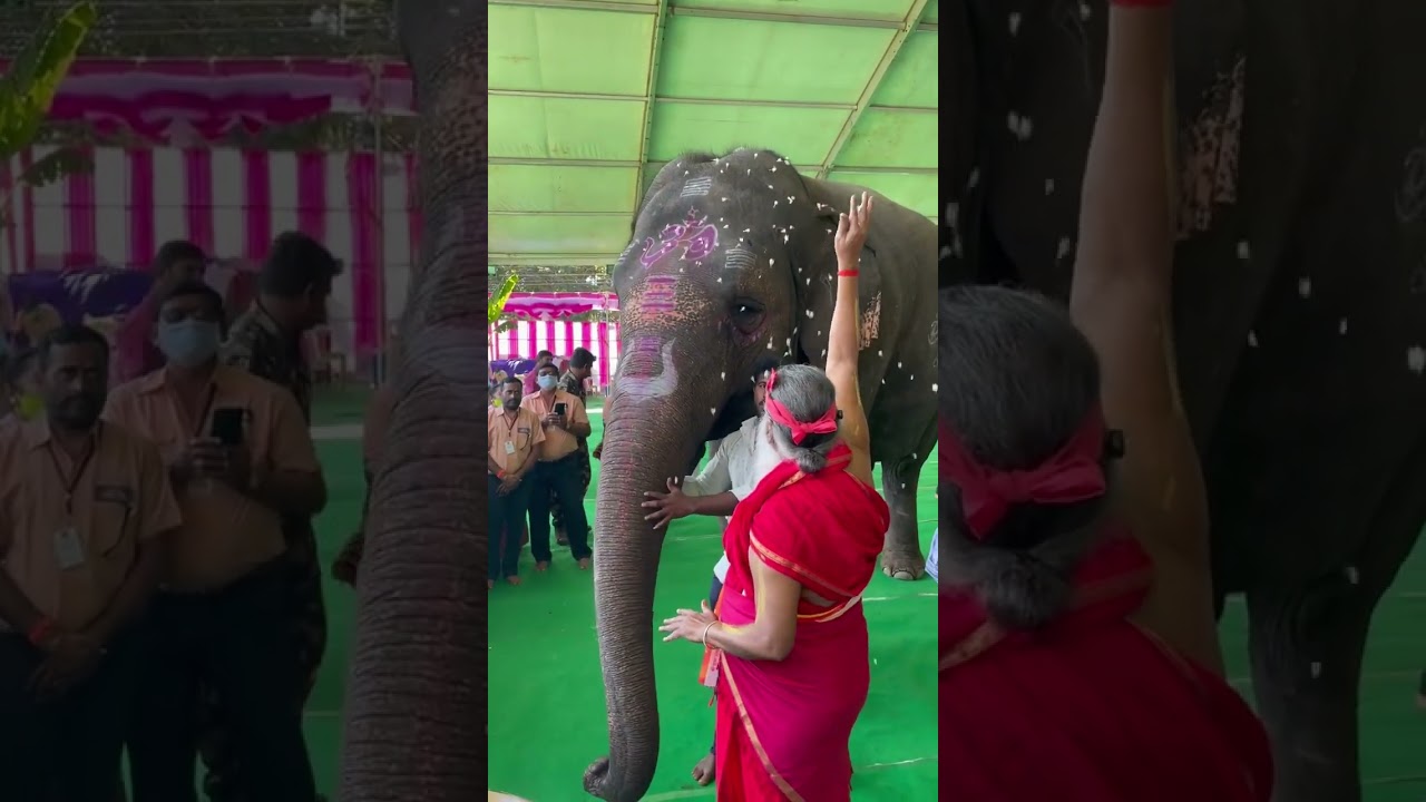 During Ati Rudra Yagam, Srisailam #dattapeetham #avadhootadattapeetham #sachchidanandswamiji #sgs