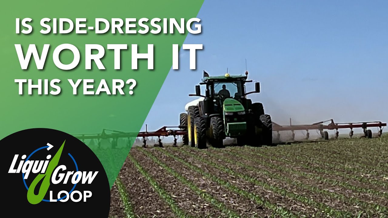Is Side-Dressing Nitrogen Worth It This Year?