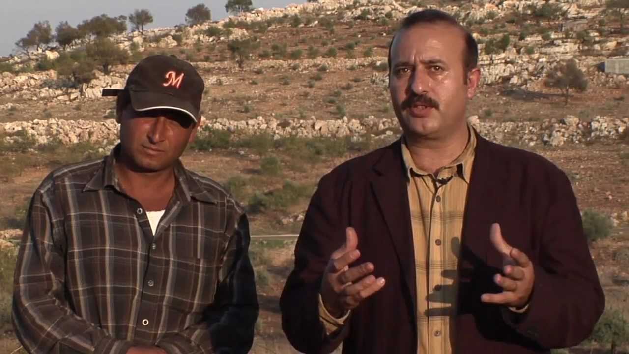Dr. Bronner's Organic Fair Trade Olive Oil From the Holy Land (Israel and Palestine)