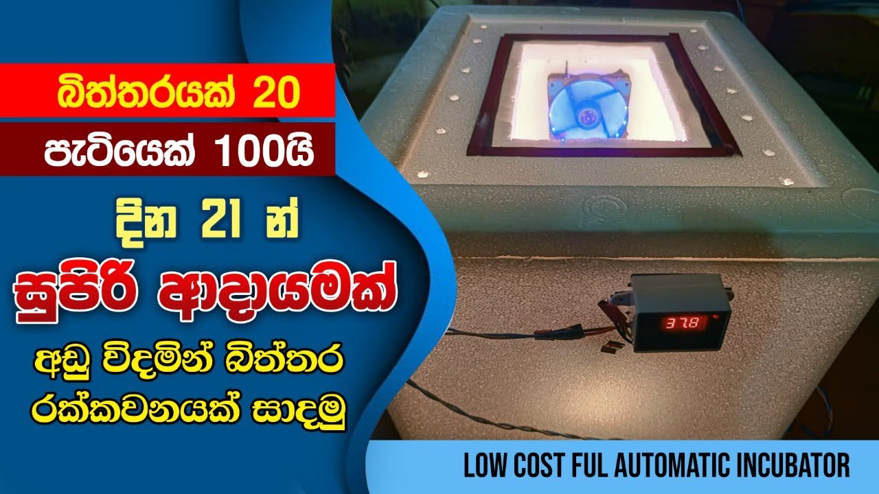 බිත්තරයක් 20 යි පැටියෙක් 100යි,INCUBATER,Automatic incubators,BSTSaman,egg hatury