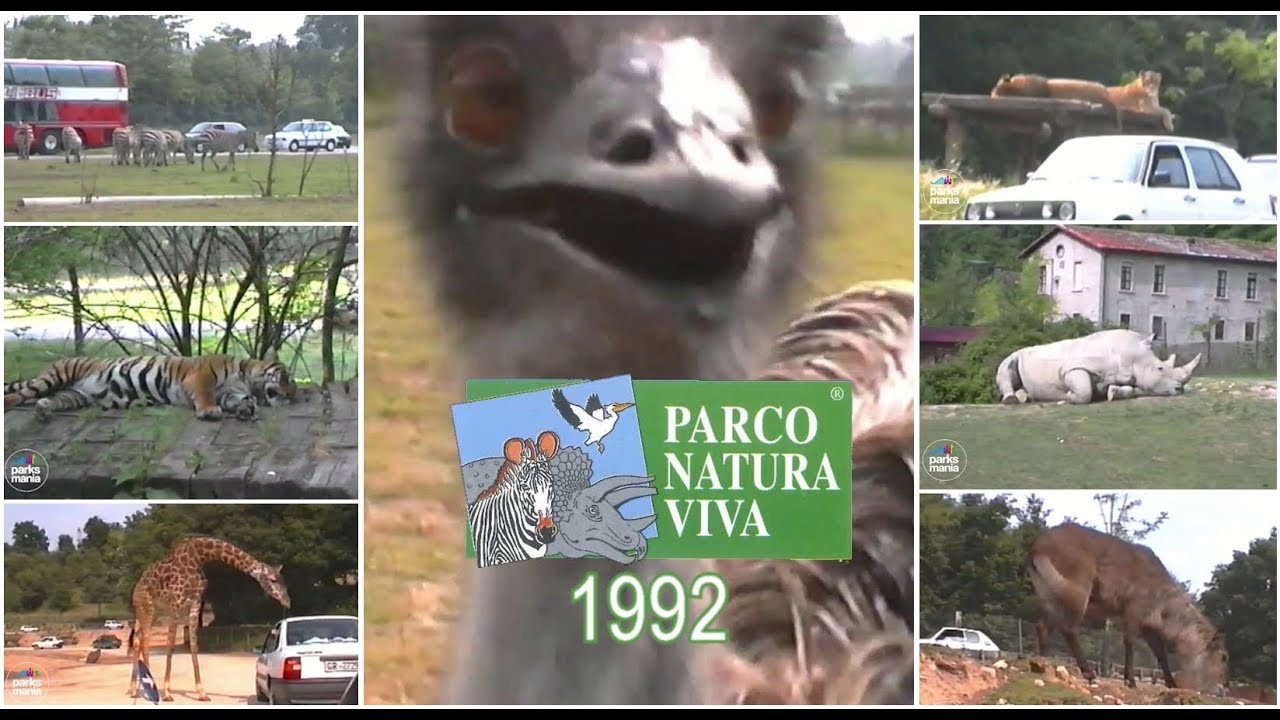 PARCO NATURA VIVA ZOOSAFARI (1992 - Video Storico)