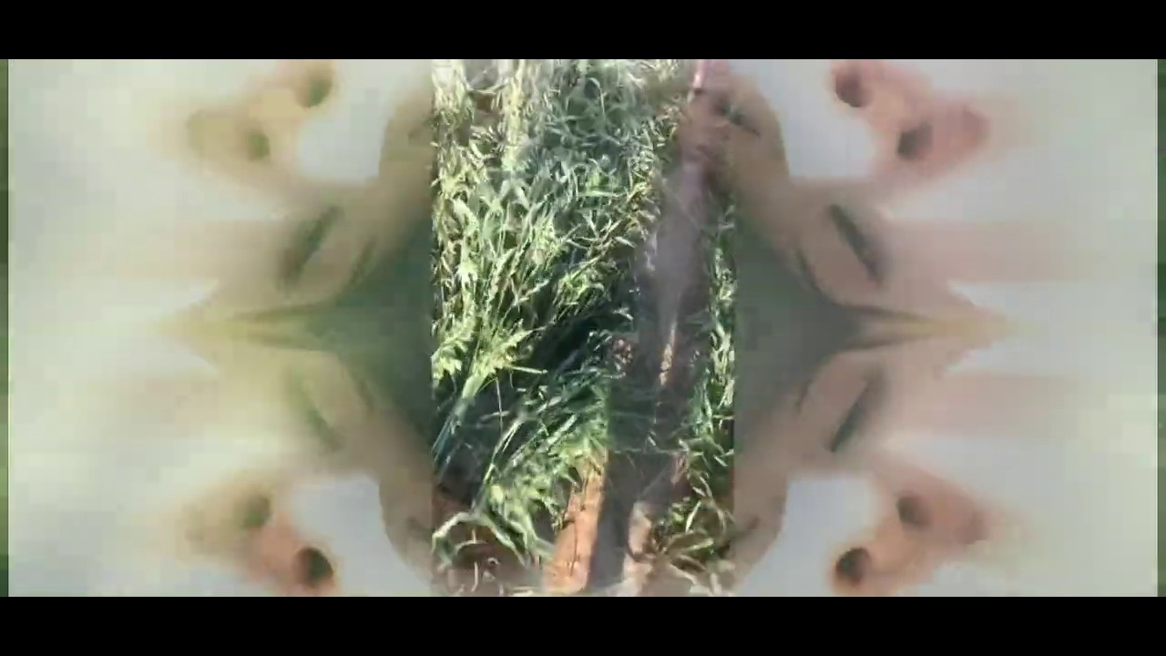 Oy solié - piach