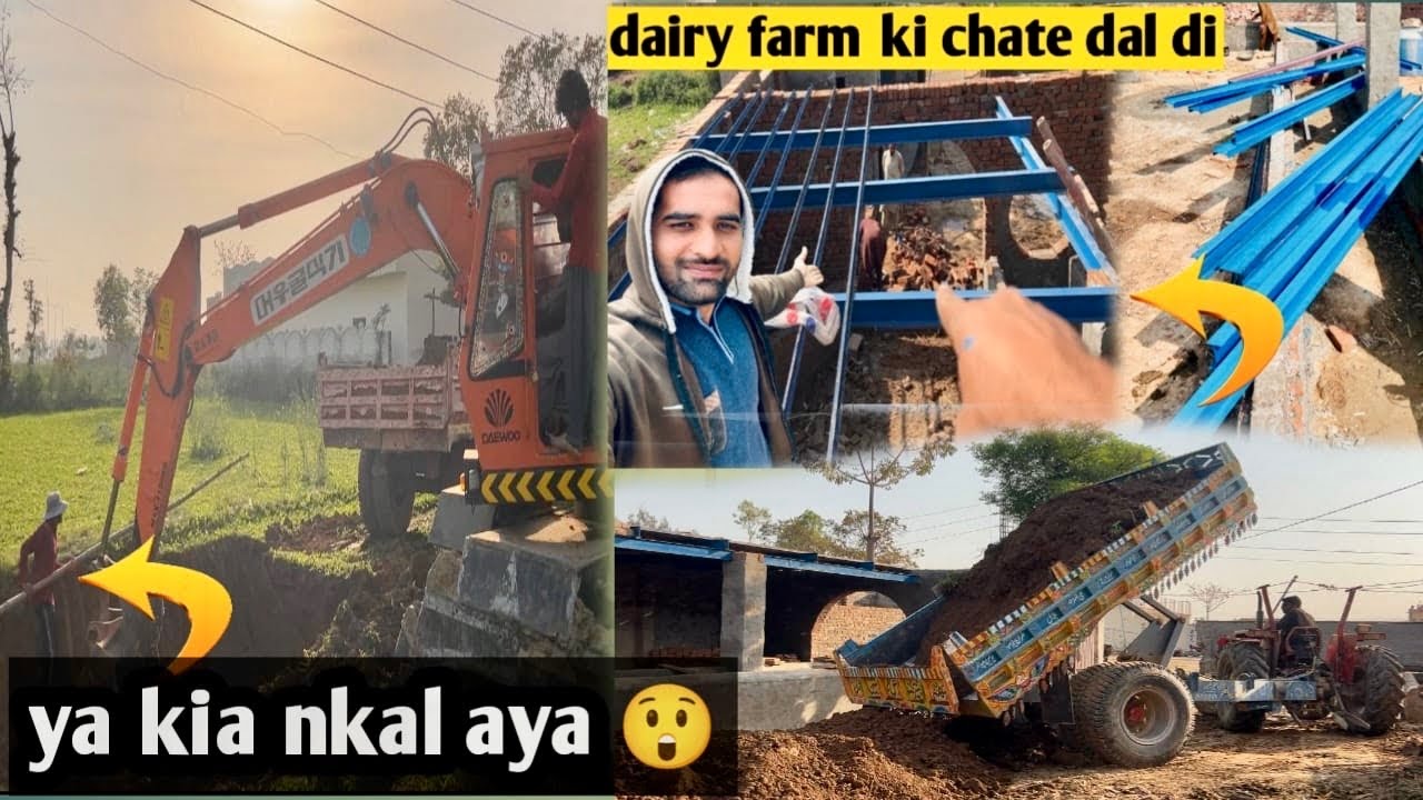 New dairy farm part 8😍||aj full enjoy kiya _bherti full ker di dairy farm ki||
