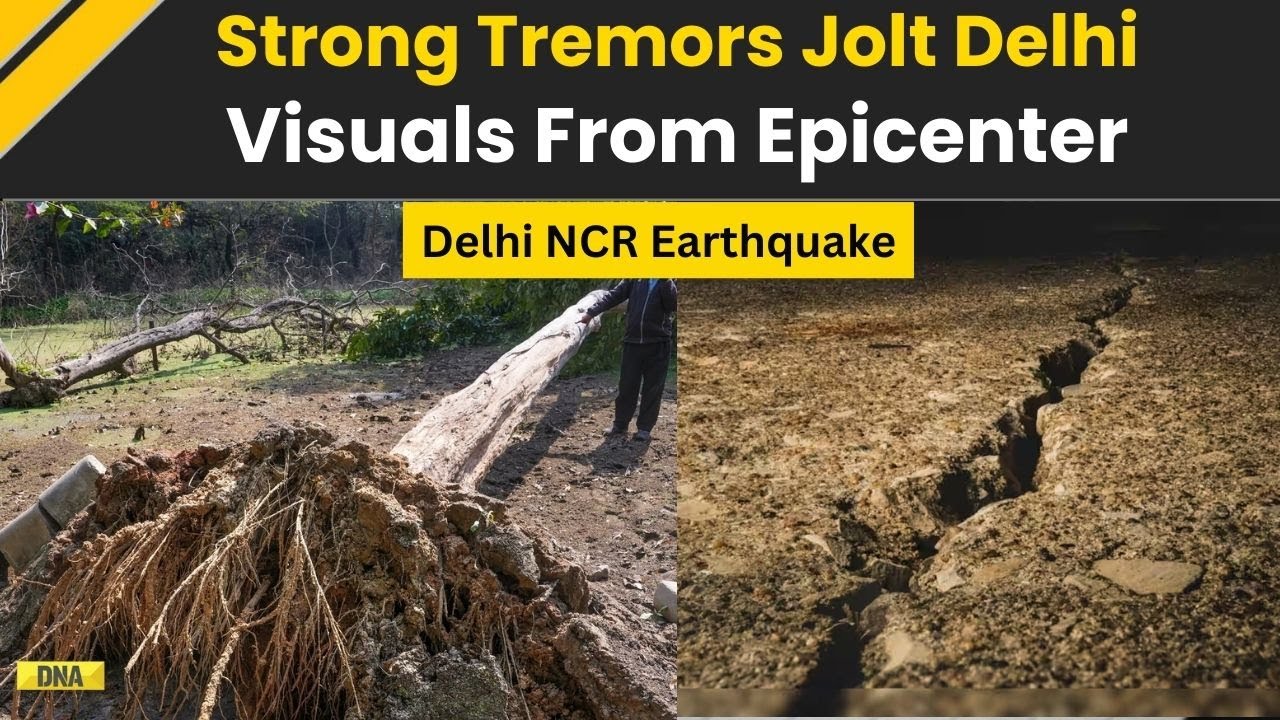 Delhi Earthquake: Dramatic Visuals From Delhi-NCR Earthquake Epicenter | Delhi Earthquake News Today