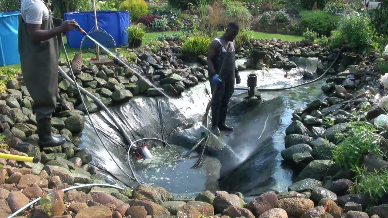 ⏱️ Koiteichreinigung – Es wurde Zeit! // Koi Pond Cleanup – Long Overdue but Worth It!