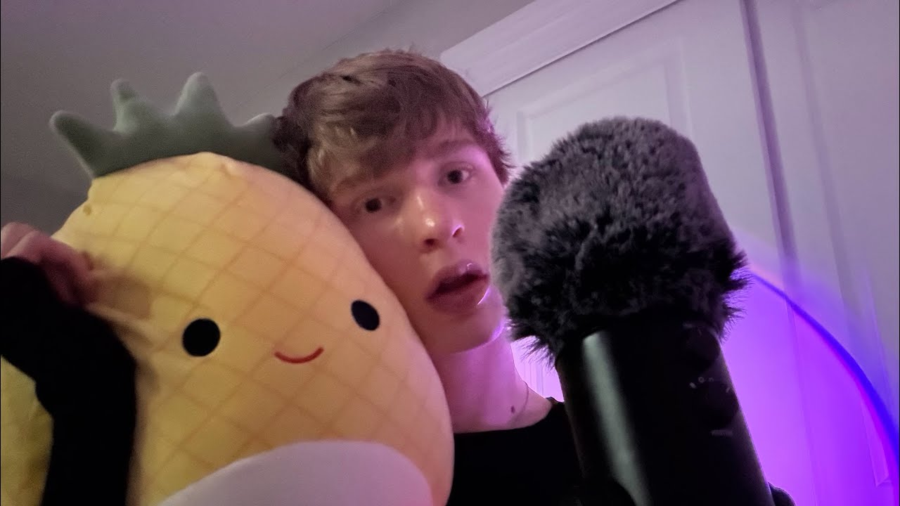 asmr sound assortment with stuffed animals 
