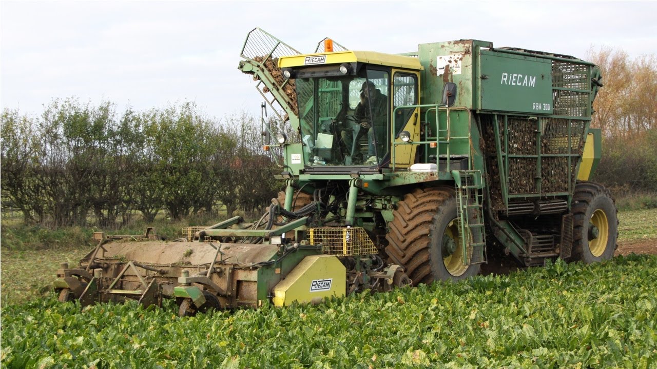 1994 Riecam RBM 300 six-row tanker sugar beet harvester  | Classic farm machinery