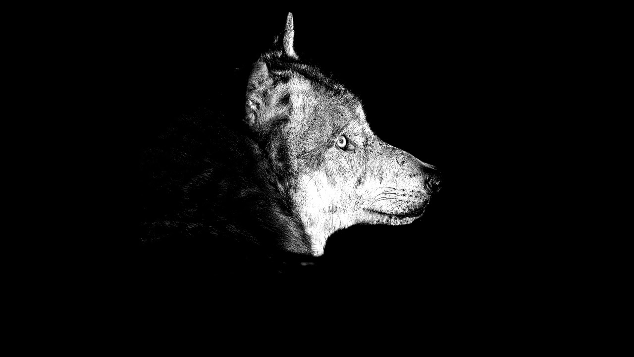 [FREE] Stand your ground (Playboi carti Type Beat) | TRAP | ATL | DIRTY SOUTH | 808MAFIA TYPE BEAT |