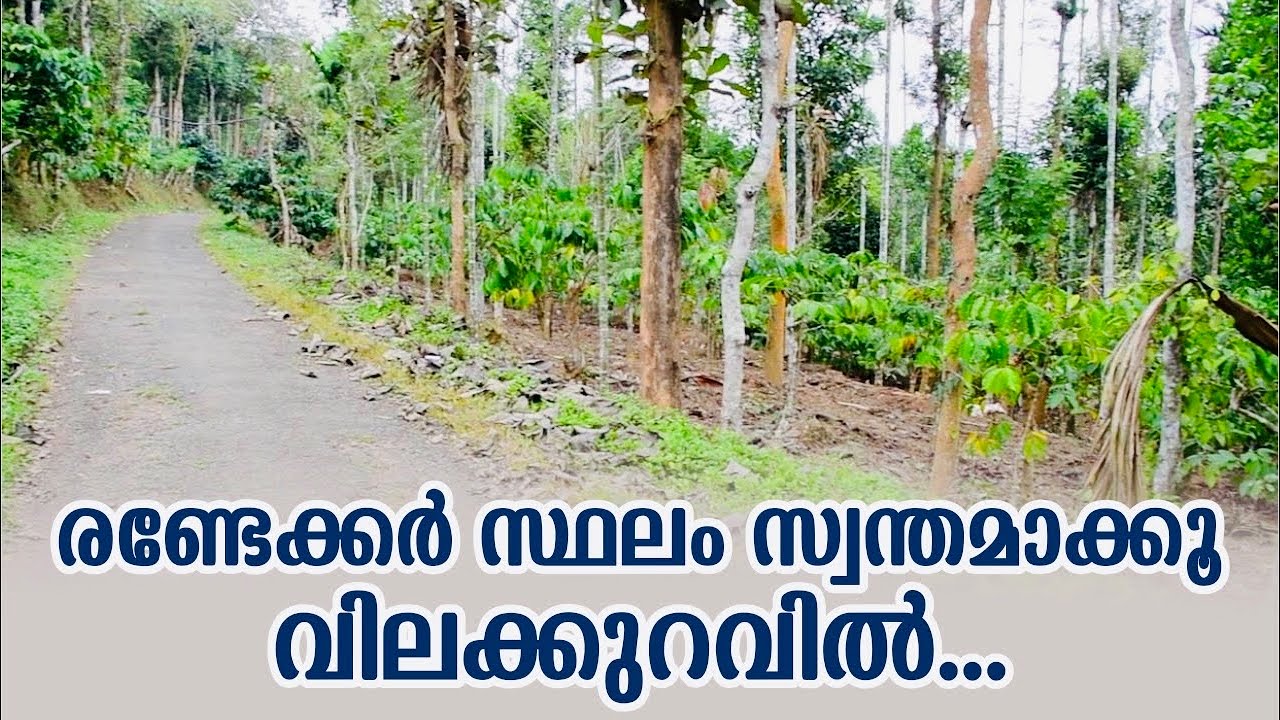 രണ്ടു acre സ്ഥലം സ്വന്തമാക്കൂ വിലക്കുറവിൽ | 2 Acre Land For Sale In Wayanad | Panamaram