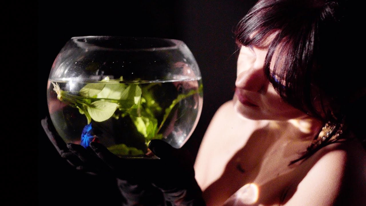 The Marías - Out for the night (Live)