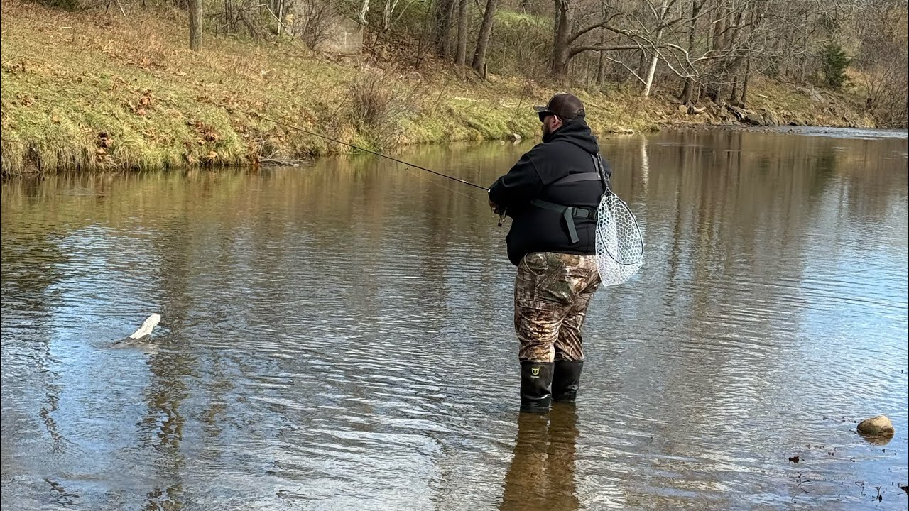 WE WAS ON EM!!! (Blue springs trout fishing!!)