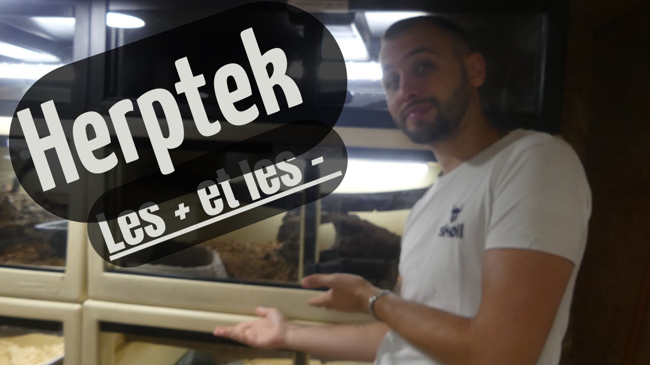 TERRARIUM HERPTEK AVANTAGES ET INCONV&Eacute;NIENTS !!! - REPTI'STORE