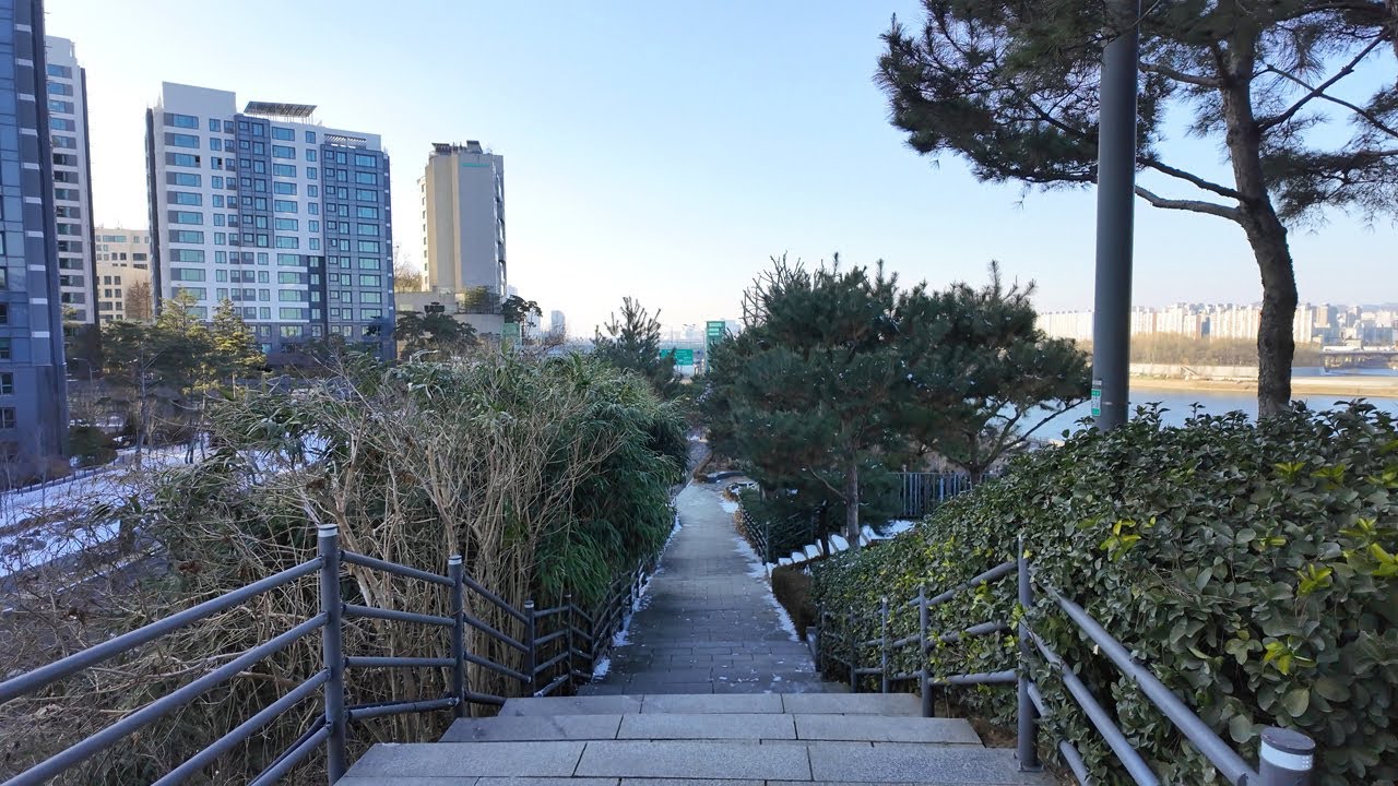 4K Korea Winter Walk, Hangang (Han River) Yeouido Saetgang Ecological Park | Nature Sounds, Study