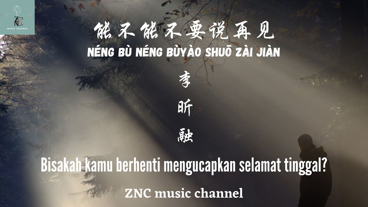 能不能不要说再见 （李昕融）