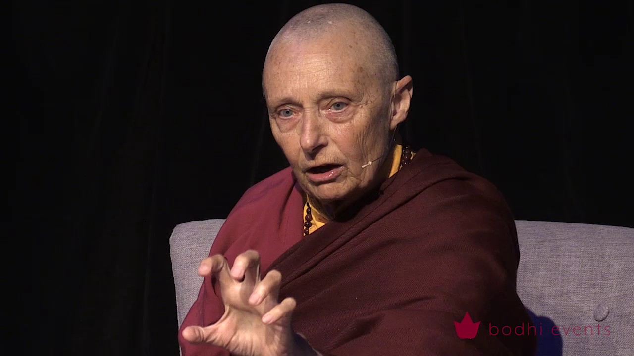 Tenzin Palmo Teaching - Wheel of Life Samsara in the Raw 1 of 12