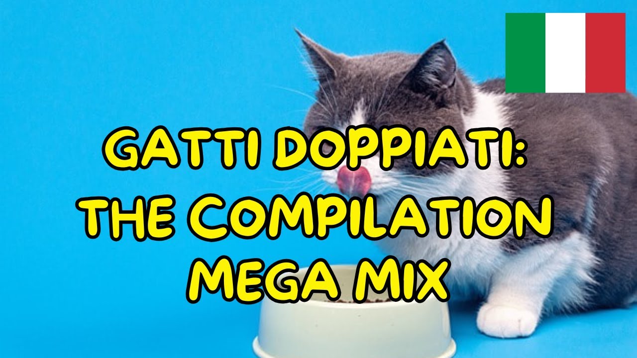 GATTI DOPPIATI - THE COMPILATION - MEGA MIX