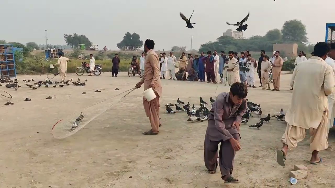 واجد شاہانی عابد حیا تانی چار پیڑ 200 مار دیکھیں اس ویڈیو میں