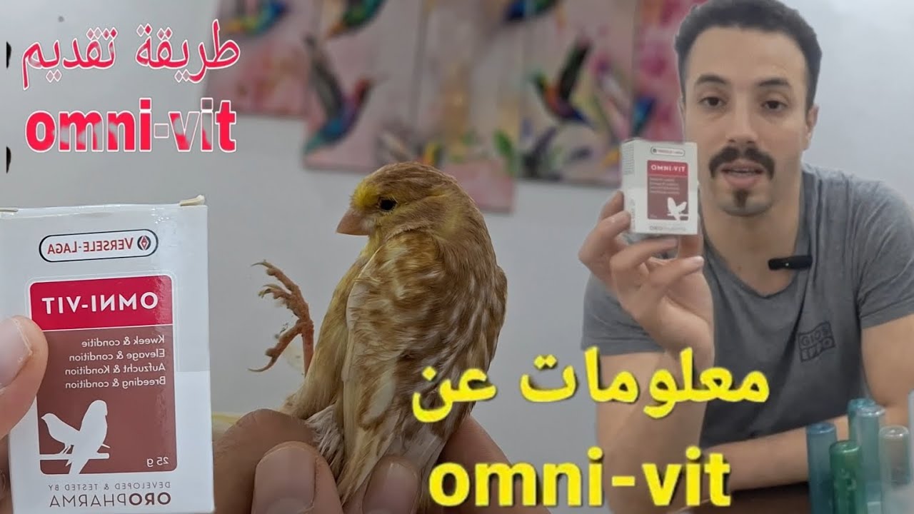 طريقة إستعمال omni vit للكناري و علاج كناري فايو من الجس 💊 #كناري
