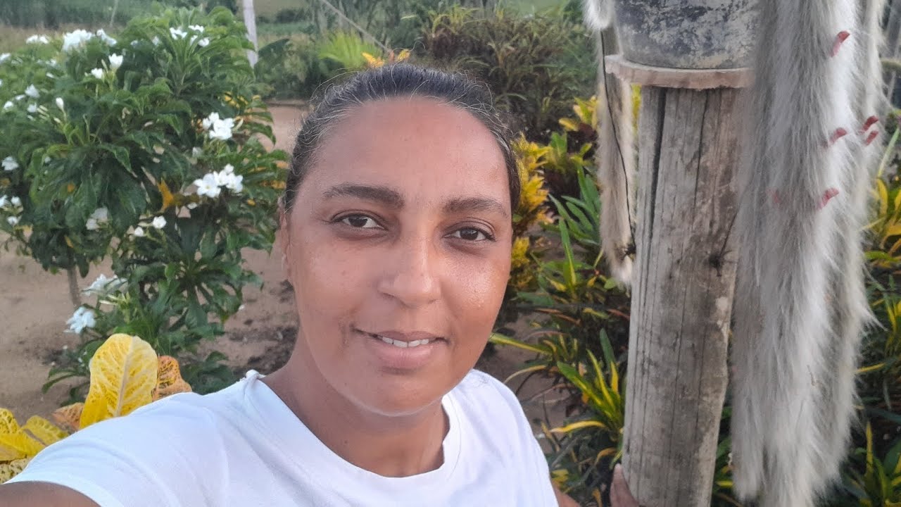 Do Quintal para a Cozinha