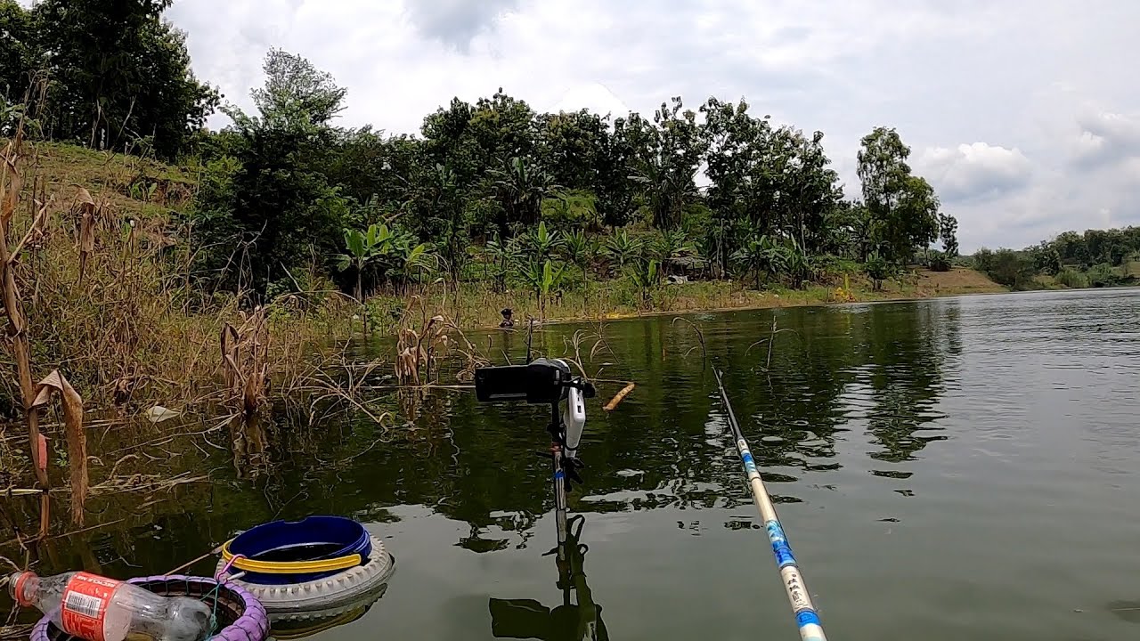 Rekor Baru! Ikan NILA TERBESAR saya di WKO