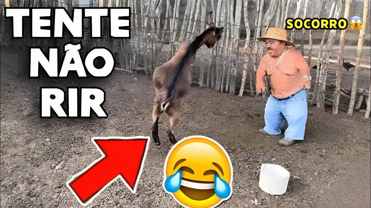 TENTE NÃO RIR 😂 OS MEMES MAIS ENGRAÇADOS DA INTERNET #videosengracados #tentenaorir #memes #comedia