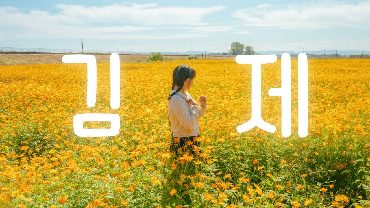 내일 출근하기 싫은 직장인은 꼭 봐야할 영상(feat. 김제)ㅣ여행 동영상