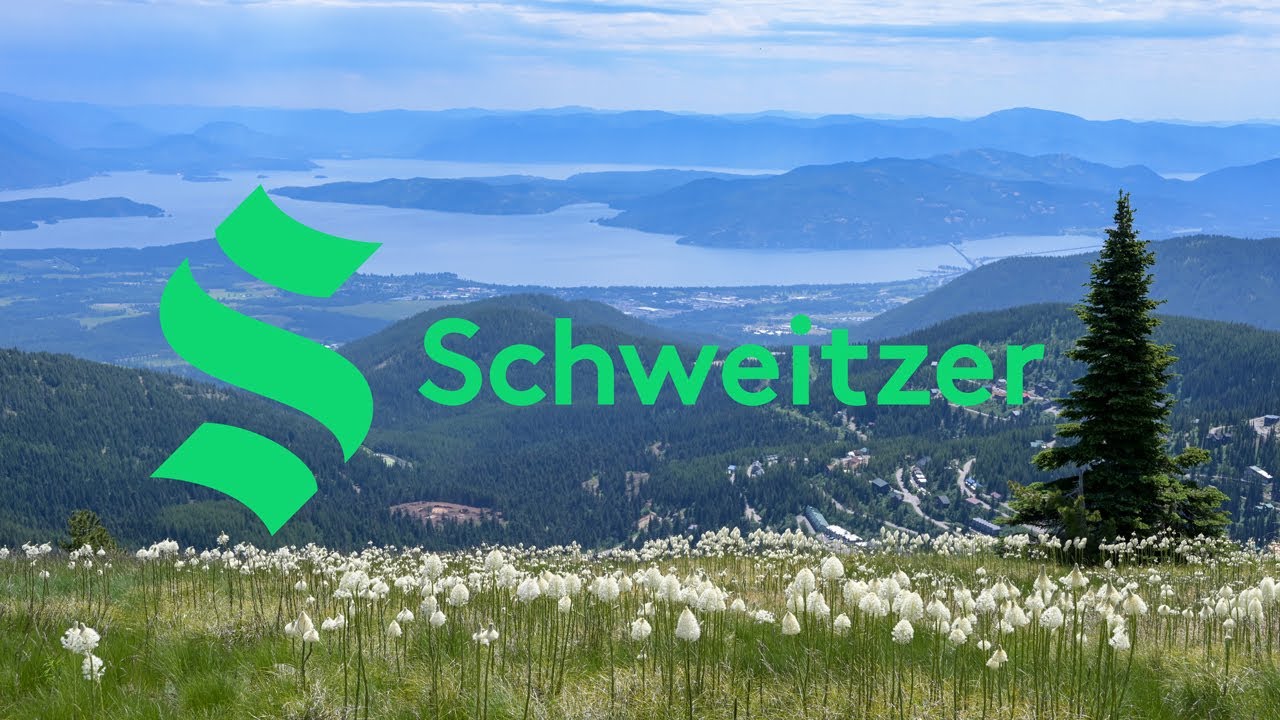 Schweitzer Overview