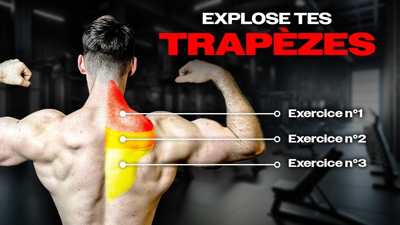 Le guide d’entraînement des trapèzes ! (Appuyé par la science)