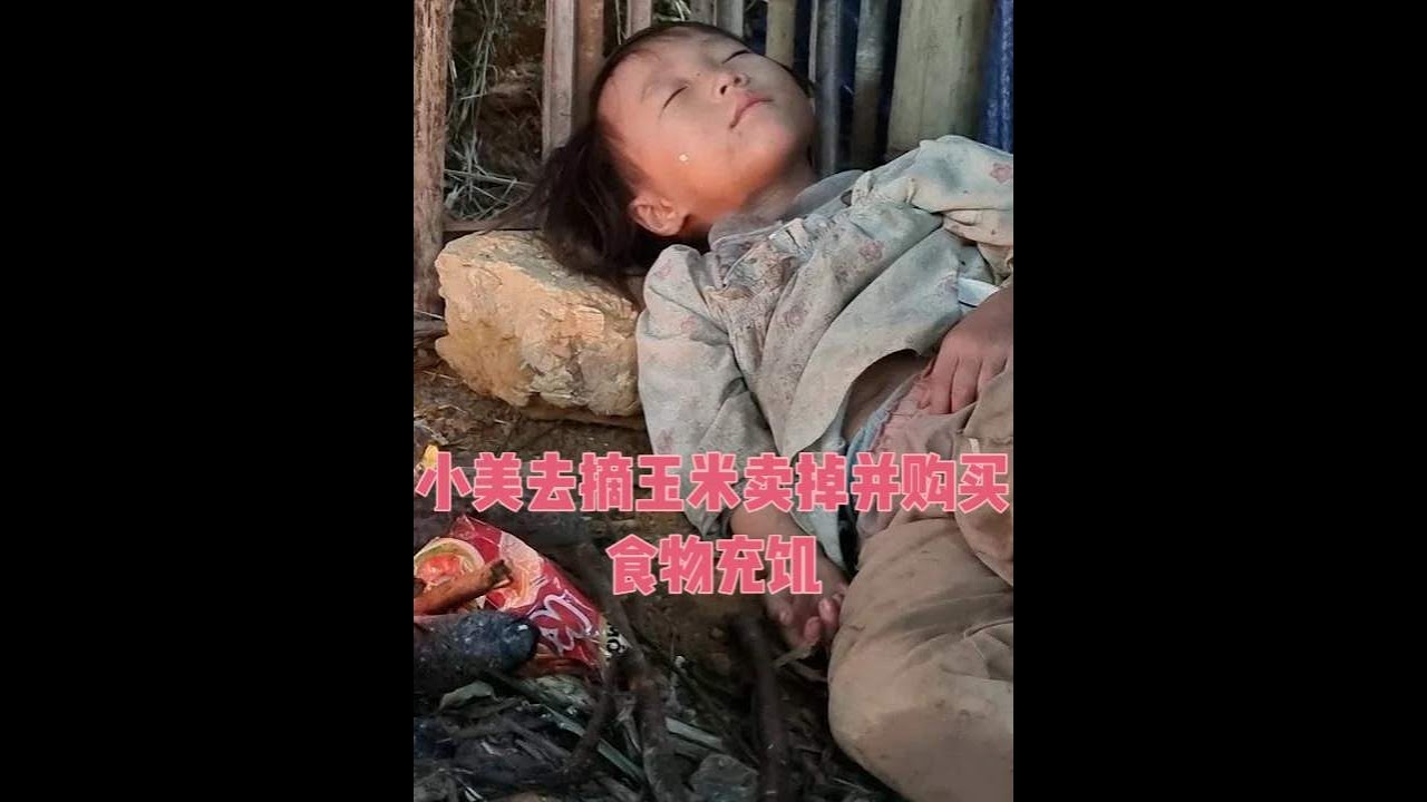 第50集 小美去摘玉米卖掉并购买食物充饥 #越南农村生活  #荒野求生 #越南小女孩 #生活纪实
