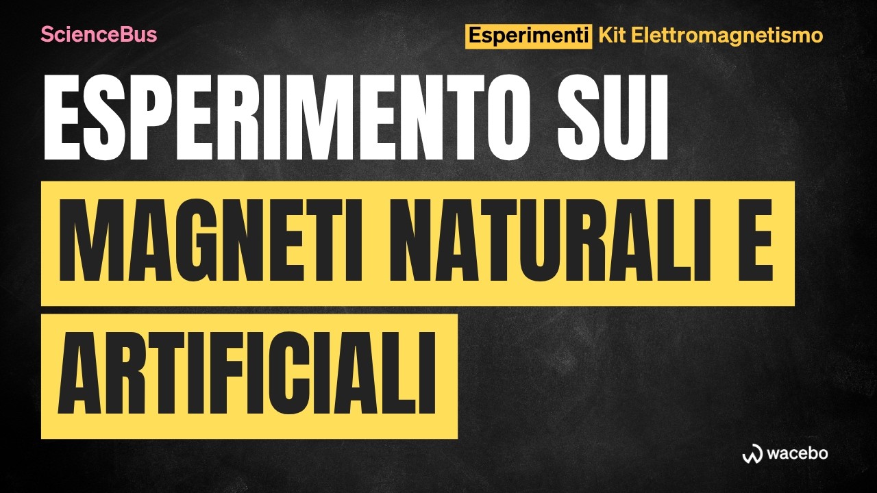ScienceBus / esperimento con il kit di elettromagnetismo sui magneti naturali e artificiali