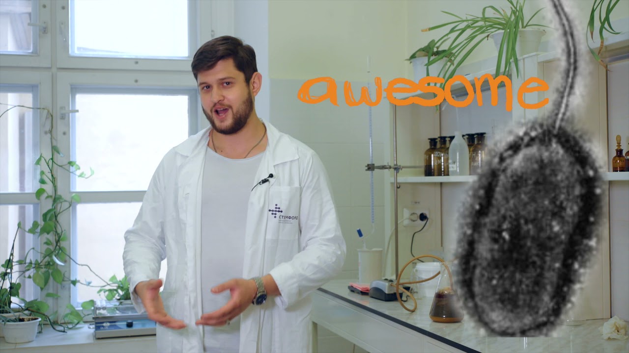 STEMTalks: технология бактериального выщелачивания