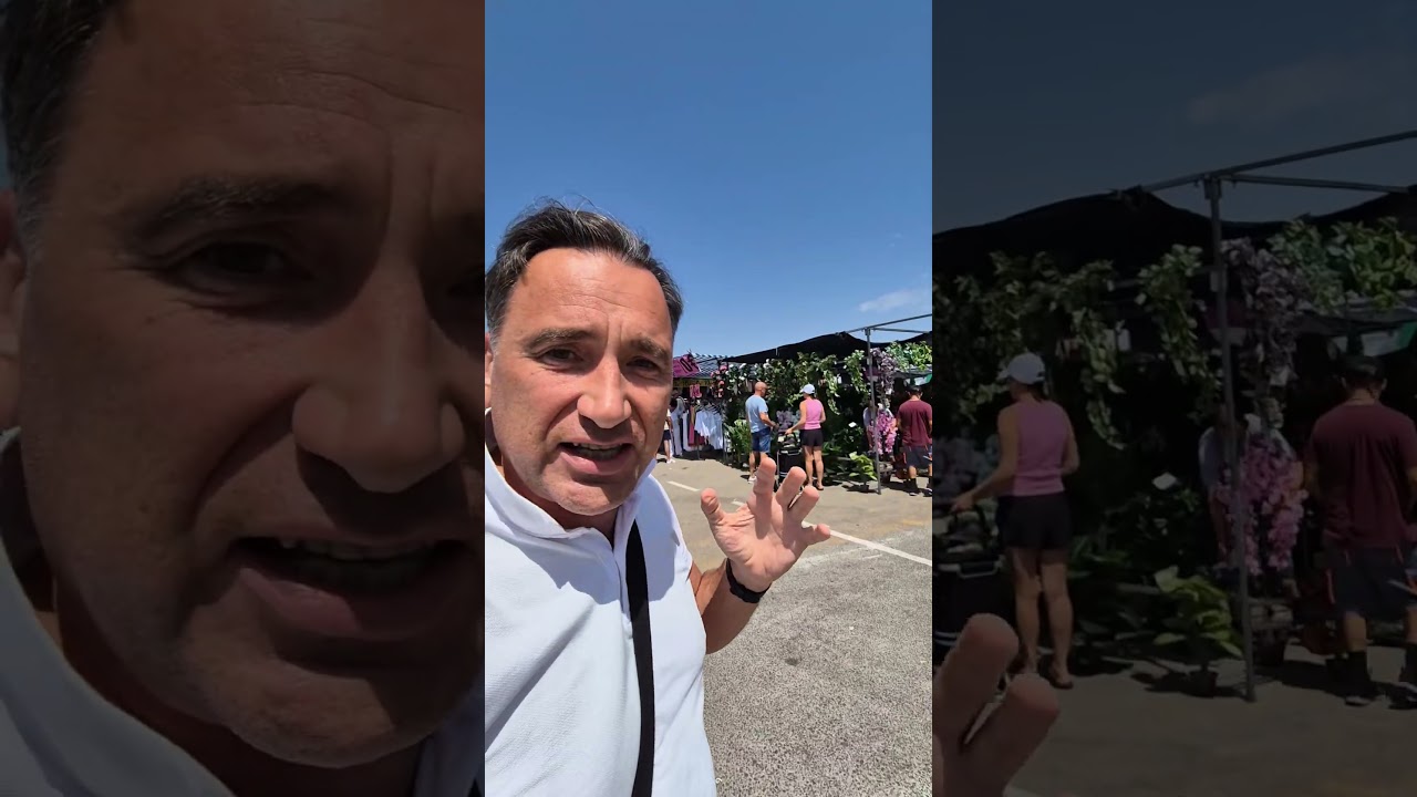 Atmosphere at a market in Spain🇪🇸