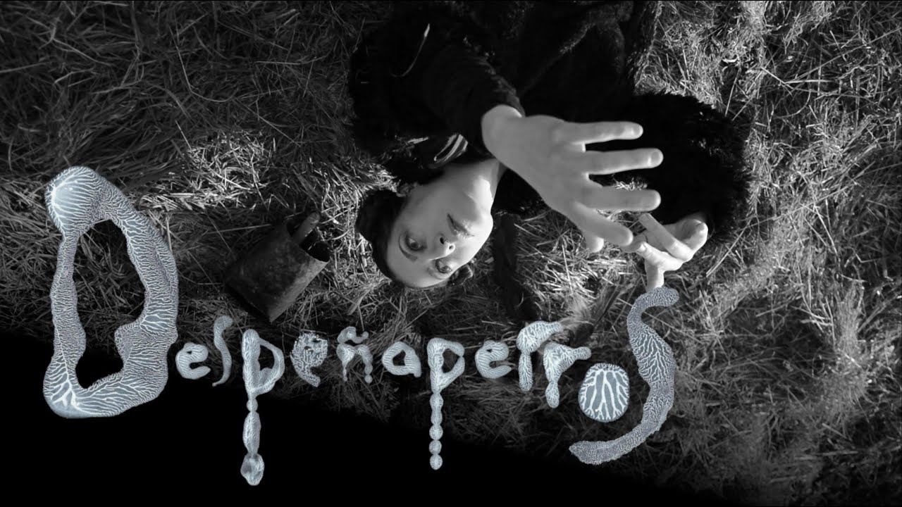 MAUD THE MOTH - Despeñaperros (The Distaff 2025)