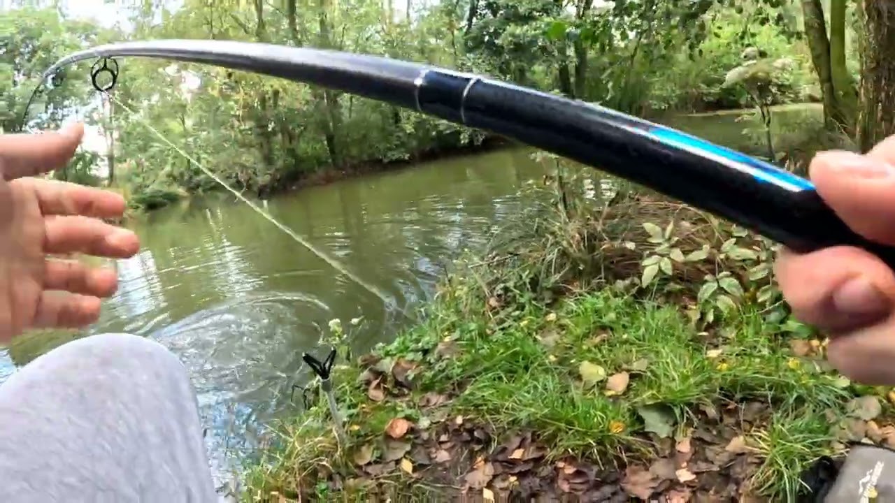 Carp Fishing at Whitmore Fisheries – Reuben Lake Session