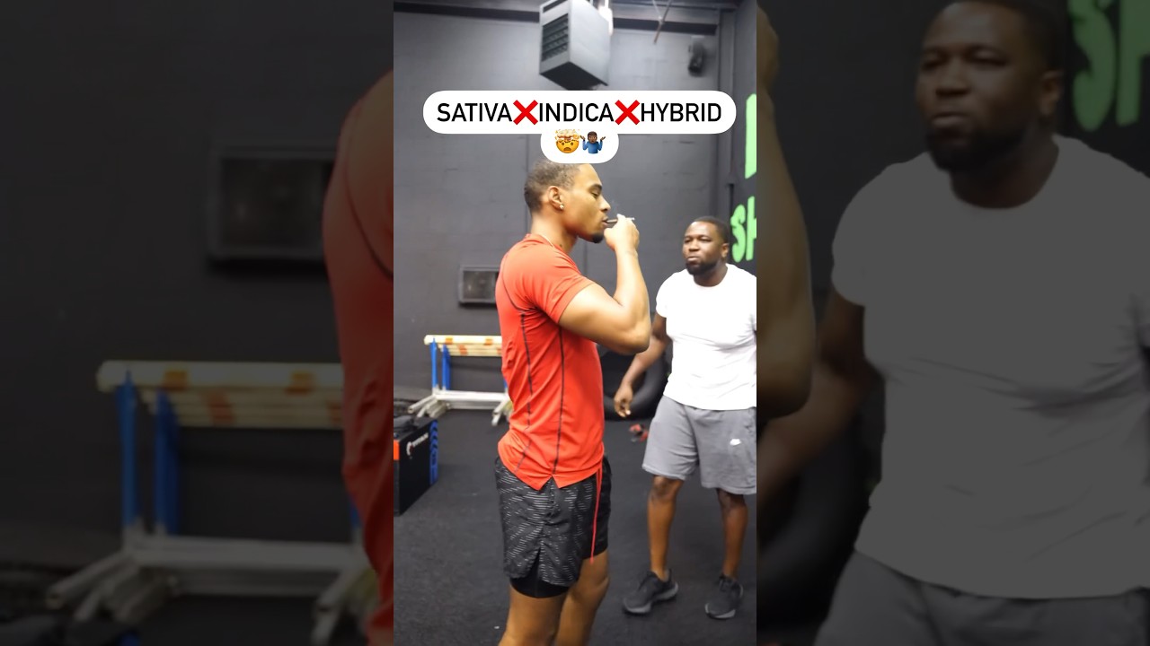 The Cannabis Fitness Guide: Sativa, Indica, and Hybrid Unveiled! 🌿💪🏾 #CannabisAndFitness #Workout