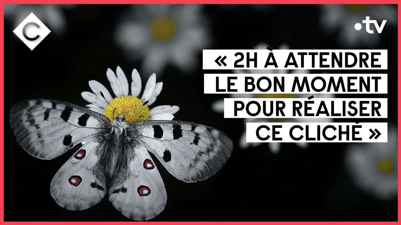 Eva Roque - Emelin, son papillon et une &eacute;toile - C &agrave; Vous - 15/09/2021
